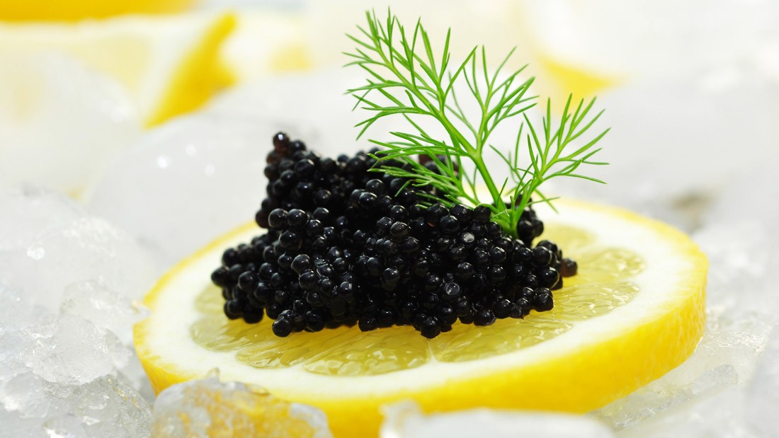 Abu Dhabi réussit la production de caviar dans le désert 